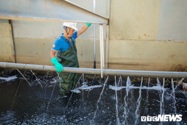 Ảnh: Cận cảnh đáy sông Tô Lịch sau 3 tuần thí điểm công nghệ Nhật Bản phân hủy bùn hữu cơ