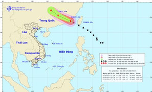 Bão Bailu đi vào Trung Quốc, suy yếu thành áp thấp nhiệt đới
