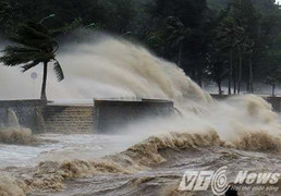 Clip: Cơn cuồng phong tấn công bãi biển Đồ Sơn