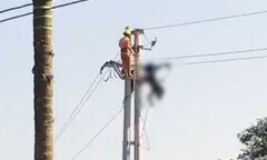 Sửa chữa đường điện cao thế, một nhân viên bị điện giật chết cháy