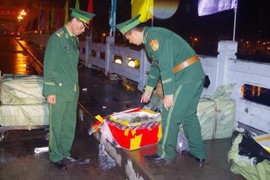 Gần 900 kg cá ‘lạ’ vận chuyển từ Trung Quốc về Việt Nam bị tiêu hủy