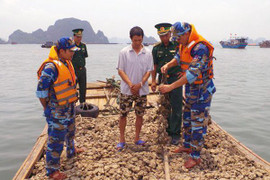 Biên phòng Quảng Ninh tiêu huỷ 9 tấn hàu giống nhập lậu