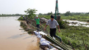 Hải Phòng vỡ 50m đê bao trong đợt mưa lũ lịch sử