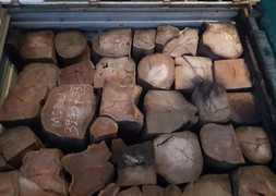 Bắt giữ 2 xe container chở 42 tấn gỗ Giáng Hương Tây Phi