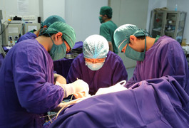 Bé 2 tháng tuổi bị thoát vị não nguy hiểm vừa được phẫu thuật thành công