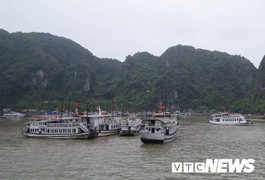 Ba thuyền trưởng bị ‘cấm cửa’ 6 tháng do vi phạm hoạt động trên vịnh Hạ Long