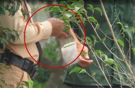 Nghi vấn CSGT ‘làm luật’: Công an tỉnh Thái Bình lên tiếng