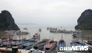 Áp thấp nhiệt đới giật cấp 8 tiến sát bờ, Quảng Ninh ra lệnh cấm biển
