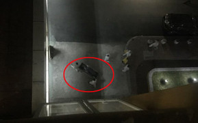 Bệnh nhân nhảy từ tầng 5 bệnh viện xuống đất thiệt mạng lúc nửa đêm