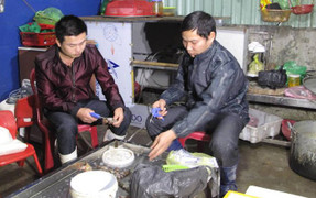 Cảnh sát đột kích cơ sở kinh doanh hải sản, bắt quả tang 3 người bơm tạp chất vào tôm