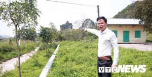 Di sản văn hóa bị tàn phá nghiêm trọng ở Hải Phòng: Chuyên gia nói có, địa phương bảo không