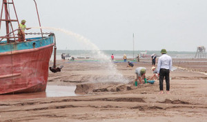 Thực hư UBND tỉnh Thái Bình cấp phép cho doanh nghiệp khai thác cát ở cửa biển Hải Phòng