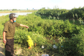 Sau 3 ngày mất tích, thợ mộc lành nghề ở Hải Dương được phát hiện chết dưới rãnh nước