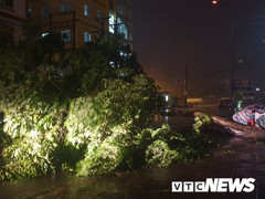 Ảnh: Bão số 3 quật đổ hàng loạt cây xanh, đường phố Quảng Ninh ngập gần nửa mét