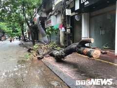 Những thiệt hại sau bão số 3 ở Hải Phòng, Quảng Ninh