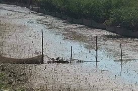 Tìm thấy thi thể nạn nhân bị nước cuốn trôi trên sông Ka Long trong bão số 3