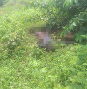 Tìm thấy thi thể cụ ông ở Quảng Ninh sau nhiều ngày mất tích