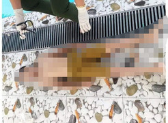 Bé trai 11 tuổi chết đuối trong bể bơi ở Hải Dương