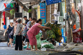 Một Rạng Đông u ám