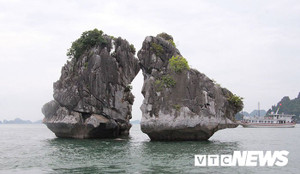 Phí tham quan Vịnh Hạ Long tăng tới 73%: Doanh nghiệp chỉ có 3 ngày để đưa ý kiến