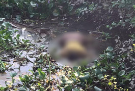 Tìm thấy thi thể người phụ nữ ôm con nhảy cầu tự tử ở Hải Phòng