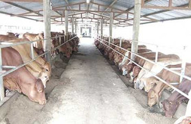 Nguy cơ mất hơn 400 triệu đồng thuế vì… sai chính tả