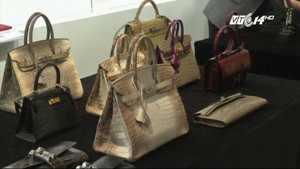 Clip: Cận cảnh túi xách đính kim cương 6,7 tỷ đồng đắt giá nhất thế giới