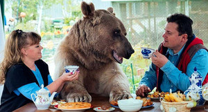 Clip: Cặp vợ chồng nuôi gấu khổng lồ làm thú cưng suốt 23 năm