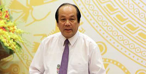 Đã tìm ra nguyên nhân cá chết bất thường ở miền Trung