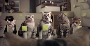 Quảng cáo hài khiến cộng đồng mạng 'phát sốt'