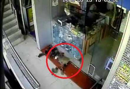 Clip: Khỉ ‘siêu đạo chích’ táo tợn cướp cửa hàng trang sức, ông chủ bất lực