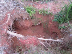 Huy động gần 50 cảnh sát giải cứu 3 phu vàng mắc kẹt dưới hang sâu