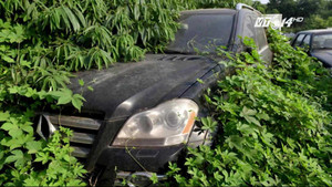 Bí ẩn hàng triệu siêu xe hạng sang của đại gia Trung Quốc bị bỏ lại trong rừng sâu