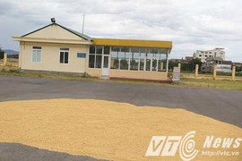 Đầu tư hơn 30 tỷ đồng xây bến xe chỉ để dân phơi lúa