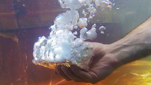 Clip: Thả đá khô vào nước và xem điều bất ngờ xảy ra