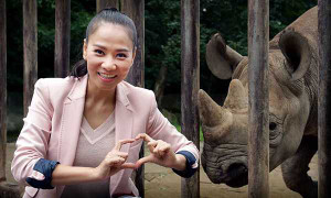 Thu Minh giành quyền đưa tê giác từ Châu Âu về với Châu Phi