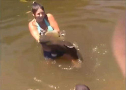 Cô gái xinh đẹp tay không bắt cá trê 'khủng'