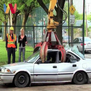 Clip: Ngáng đường xe rác, ôtô bị nghiền nát thành sắt vụn