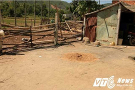 Hành trình bỏ trốn của nghi can sát hại nữ sinh lớp 12 ở Đà Nẵng