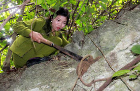 Những cây thuốc kỳ dị khắc chế bệnh xương khớp của nữ lang người Thái