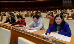 Lùi thi hành Bộ Luật Hình sự 2015: Ai phải chịu trách nhiệm?