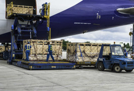 Vinamilk đưa đàn bò sữa organic về Việt Nam