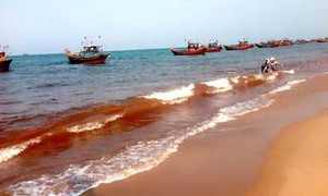 Giải mã vệt nước màu đỏ từng xuất hiện ở Quảng Bình, Hà Tĩnh