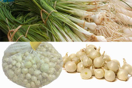 Hành tăm: 'Thần dược chữa bách bệnh' ít người biết tới