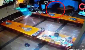 Lợn lòi 'đại náo' nhà hàng, thực khách sợ hãi chạy tán loạn