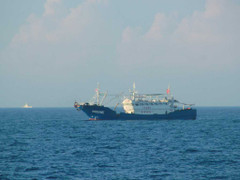 Tàu cá Trung Quốc đánh bắt trái phép gần đảo Cồn Cỏ