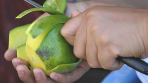 Dân mạng Trung Quốc kêu gọi tẩy chay xoài Phillipines sau phán quyết Biển Đông