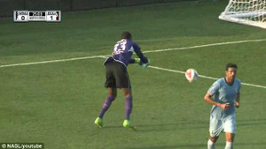 Pha đốt lưới nhà của năm