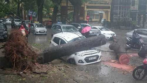 Tin mới nhất về bão số 1 đổ bộ vào đất liền