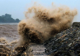 Cơn bão Nida mới hình thành có ảnh hưởng đến Việt Nam?